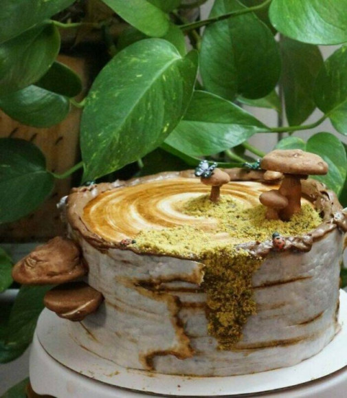 torta!